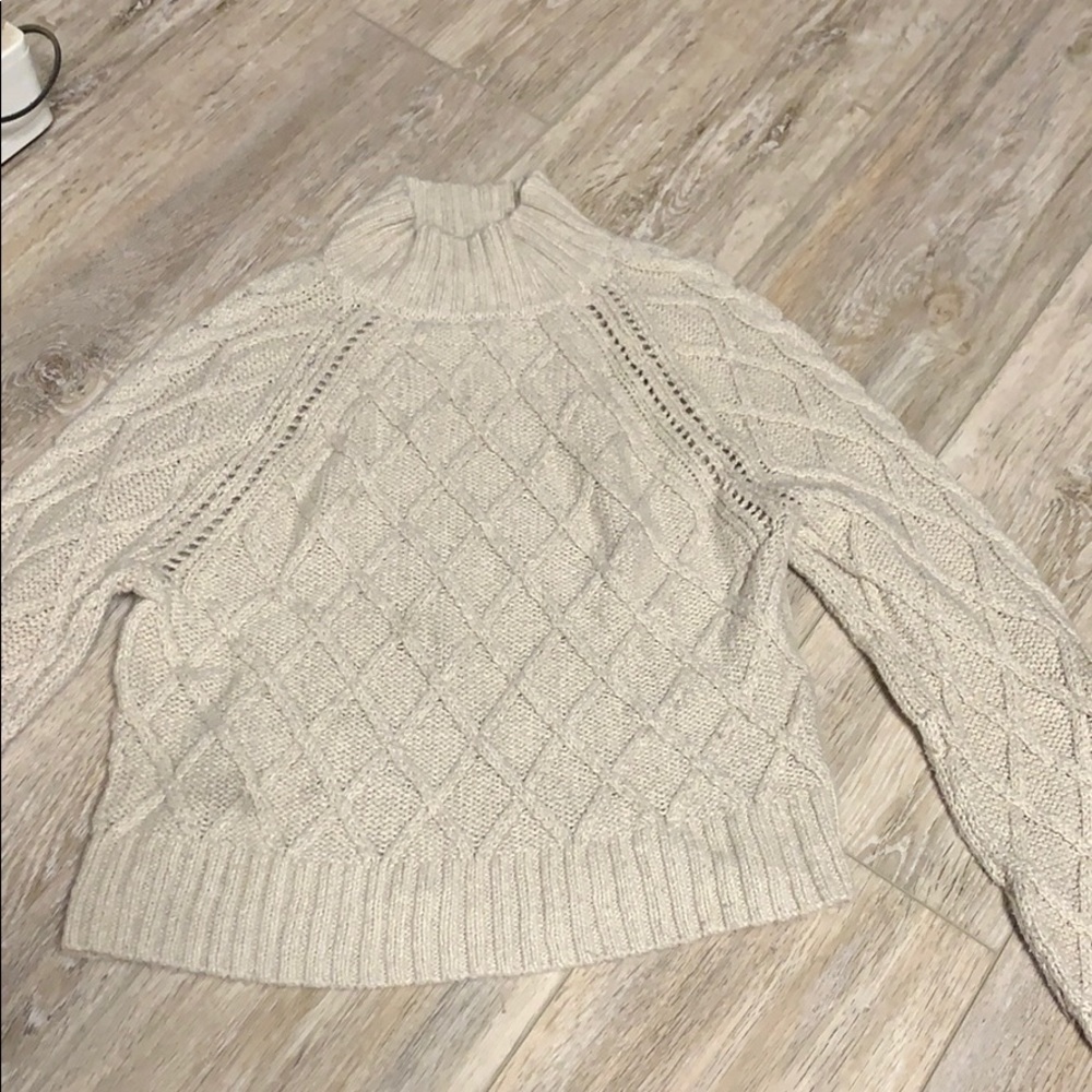American Eagle Turtleneck